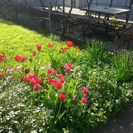 Sweet Dreams * Arandelovac