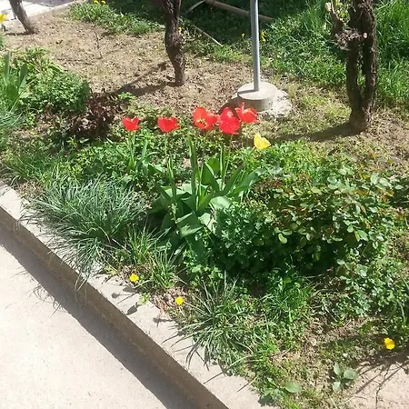 Appartement Sweet Dreams *