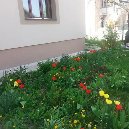 Appartement Sweet Dreams