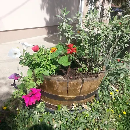 Sweet Dreams Appartement