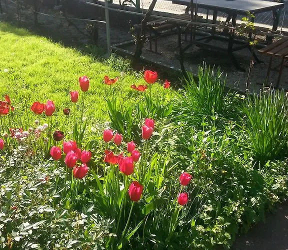 Sweet Dreams * أراندجيلوفاك